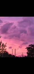Florida Sunset
