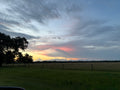 Florida Sunset