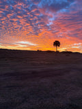 Florida Sunset